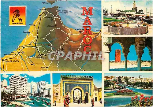 Cartes postales moderne Souvenir du Maroc Casablanca