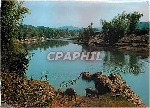 Cartes postales moderne Viet nam phong canh dep