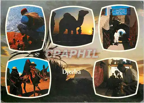 Cartes postales moderne Souvenir de Djerba