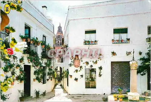 Moderne Karte Cordoba Petite Place et rue des fleurs