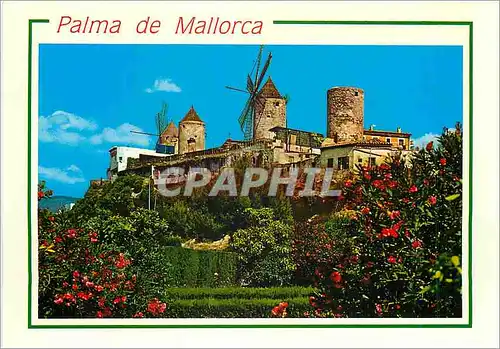 Cartes postales moderne Mallorca (Balerares) Espana Palma Molinos del Jonquel