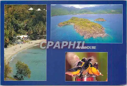 Cartes postales moderne Antilles Malendure