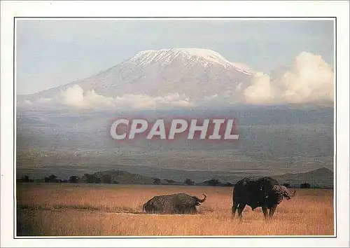 Moderne Karte Kenya Amboseli et le Kilimadjaro