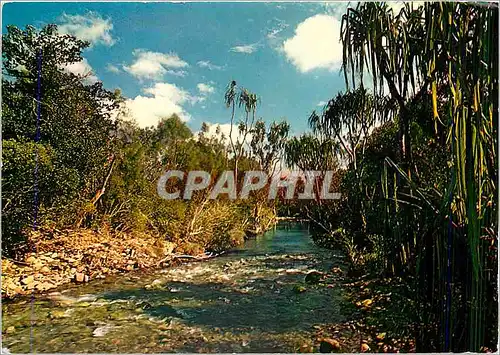 Cartes postales moderne Riviere de la Baraoua Cote Ouest Nouvelle Caledonie