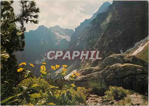 Cartes postales moderne Tatry Wysokie Sciany mieguszowieckich Kazaincy