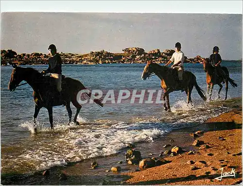 Cartes postales moderne Couleurs de Bretagne Promenade equestre sur la Cote