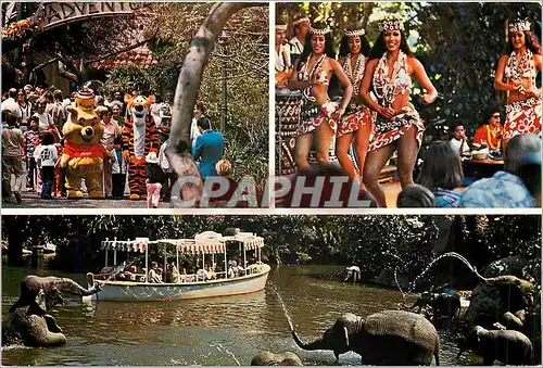 Cartes postales moderne Adventureland Unway travelers journey though tropical lands and jungle rivers