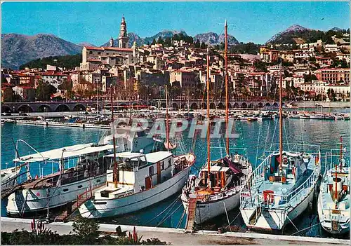 Cartes postales moderne Cote d'Azur Menton Le Port au Fond la Vieille ville