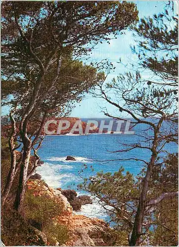 Cartes postales moderne Rivages tourmentes