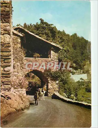 Cartes postales moderne En Parcourant les cevennes Un mas cevenal