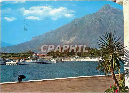 Cartes postales moderne Marbella Partielle vue du Port Banus