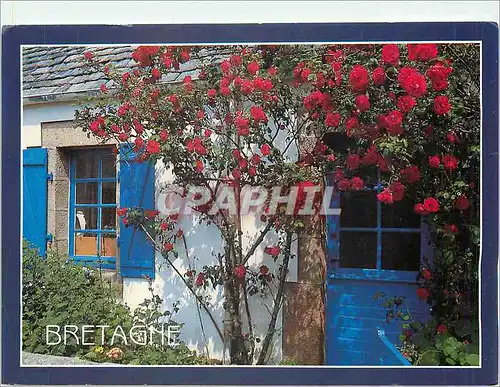 Cartes postales moderne Couleurs de Bretagne la Maison Fleurie