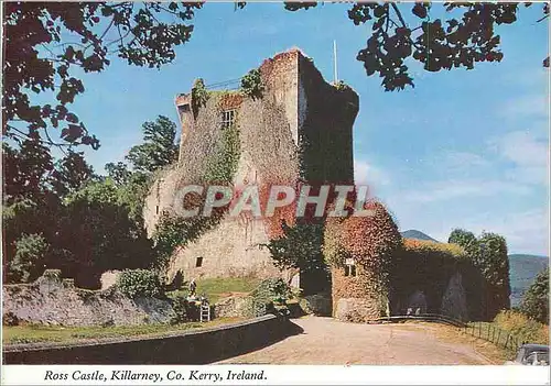 Cartes postales moderne Ross Castle Killarney Co Kerry Ireland