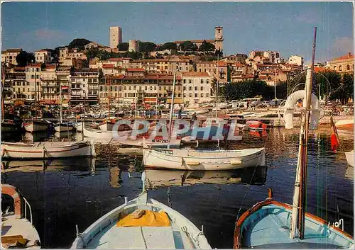 Cartes postales moderne Cannes (A M) le vieux Port le Quai Saint Pierre