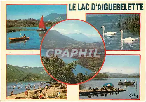 Cartes postales moderne Le Lac d'Aiguebelette (Savoie) Au pied de la montagne de l'Epine le lac Offre