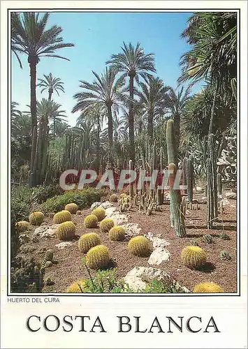 Cartes postales moderne Costa Blanca