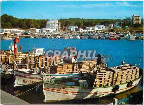 Cartes postales moderne La Escala Costa Brava Puerto