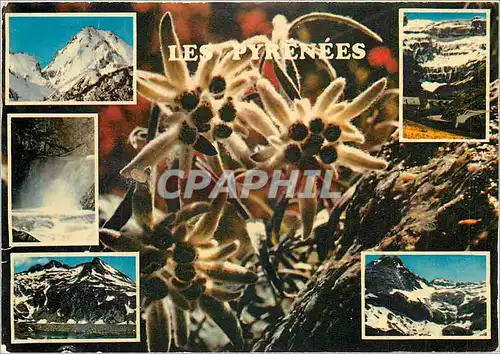 Cartes postales moderne Sommets des Pyrenees
