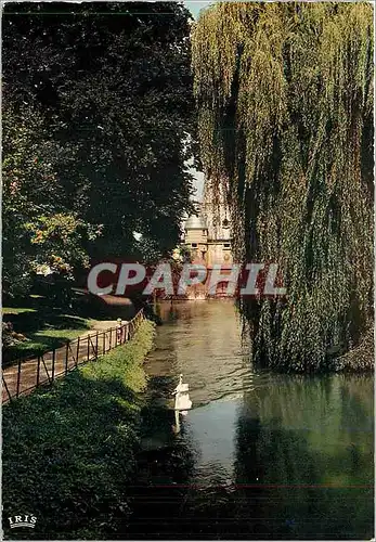 Cartes postales moderne Chalons sur Marne (Marne) Caisse d'Epargne vue des jardins