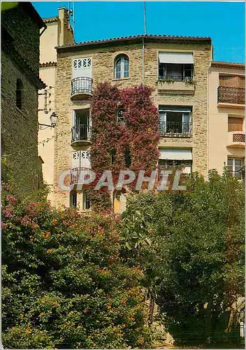 Cartes postales moderne La Cote d'Azur Varoise Bormes les Mimosas Coin pittoresque