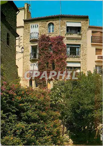 Moderne Karte La Cote d'Azur Varoise Bormes les Mimosas Coin pittoresque