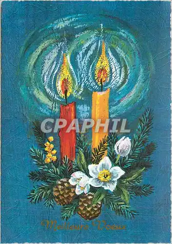 Cartes postales moderne Meilleurs Voeux