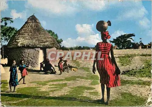 Cartes postales moderne Africolor Portage