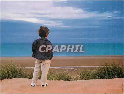 Cartes postales moderne Decidement les murs sont bavards