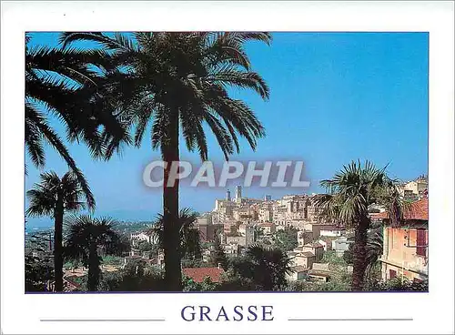 Cartes postales moderne Grasse Alpes Mmes vue