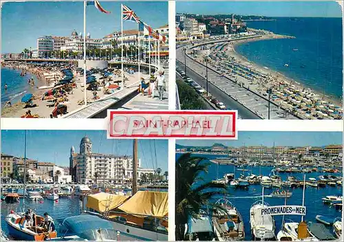 Cartes postales moderne Lumuere et Beaute de la Cote d'Azur Saint Raphael