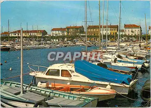 Cartes postales moderne Saint Raphael Un Coin  du Port