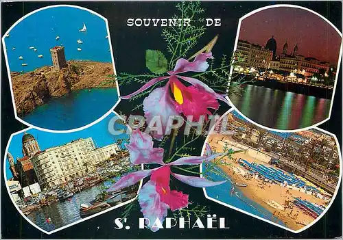 Cartes postales moderne Souvenir de St Raphael