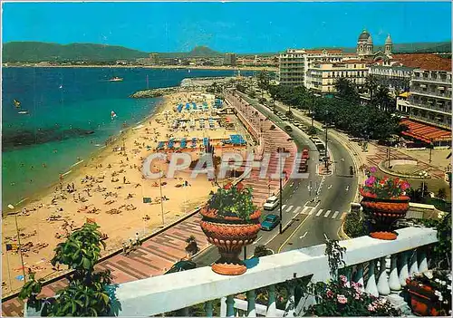 Cartes postales moderne Saint Raphael Vue panoramique