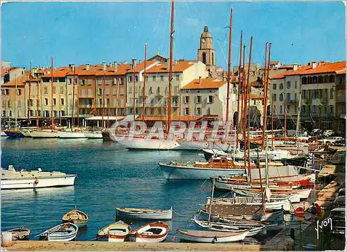 Cartes postales moderne Saint Tropez (Var) Le Port