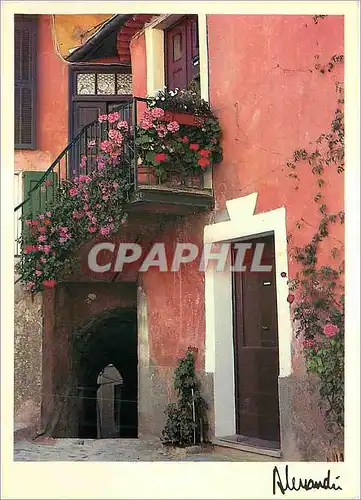 Moderne Karte Images Lumieres de Provence Fleurs de balcon