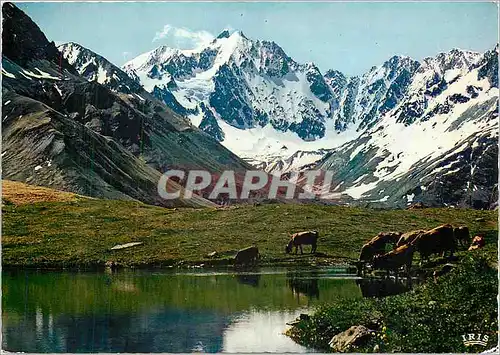 Cartes postales moderne En Oisans les Agneaux depuis le Lac du Pontet