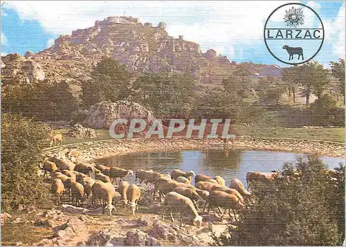 Cartes postales moderne Causse du Larzac (Aveyron) Une Lavogne au Caylar