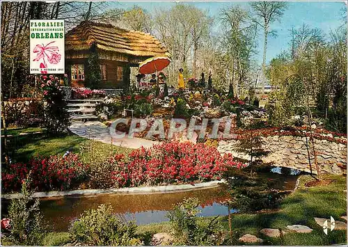 Cartes postales moderne Parc Floral Orleans la Source Avril a octobre