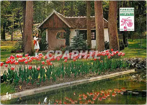 Cartes postales moderne Parc Floral Orleans la Source Avril a octobre