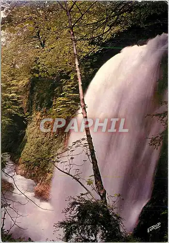 Cartes postales moderne Dans les Pyrenees en Vallee d'Ossau la Cascade duGros Hetre dans les Gorges du Valentin