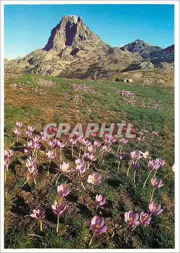 Moderne Karte Pyrenees Pic du Midi d'Ossau