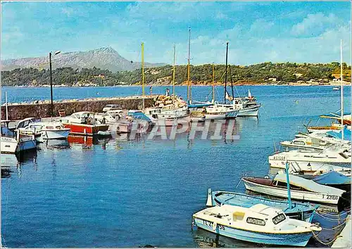 Cartes postales moderne Cote Varoise Les Oursinieres (Env du Pradet Le port au fond le Cap Brun et le Coudon