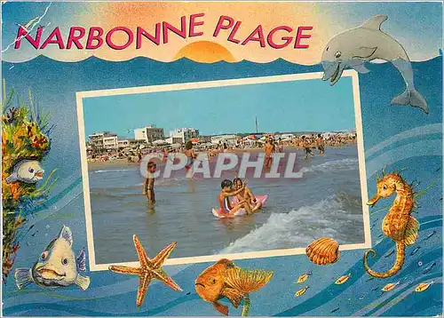 Moderne Karte Narbonne Plage La Plage Dauphin