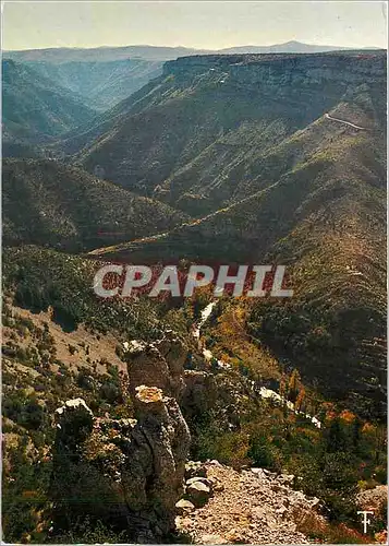 Cartes postales moderne Languedoc les Causses le canon de la vis pres de Navacelles