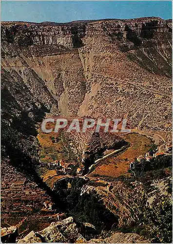 Cartes postales moderne Le Cirque de Navacelles (Gard) par Blandaspres du Vigan prof 325 m alt 700 m