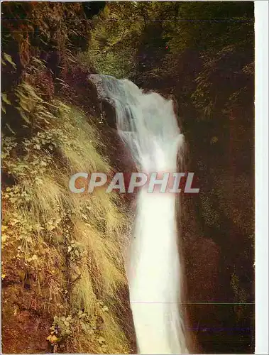 Cartes postales moderne L'Auvergne touristique Cascade du Plat a Barbe entre la Bourboule et le MOnt Dore