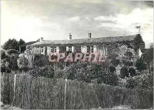 Cartes postales moderne Saint Vincent sur Jard (Vendee) Maison de G Clemenceau (Vue est)