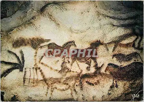 Cartes postales moderne Perigord Touristique Grotte de Lascaux Art prehistorique le diverticule axial Paroi droite