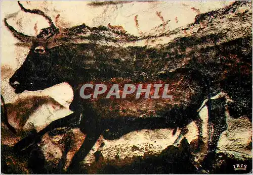 Cartes postales moderne Le Perigord Prehistorique Grotte de Lascaux art prehistorique