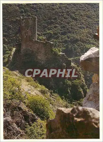 Cartes postales moderne Pays Cathare Chateaux de Lastours Quertinheux vu de Surdespine